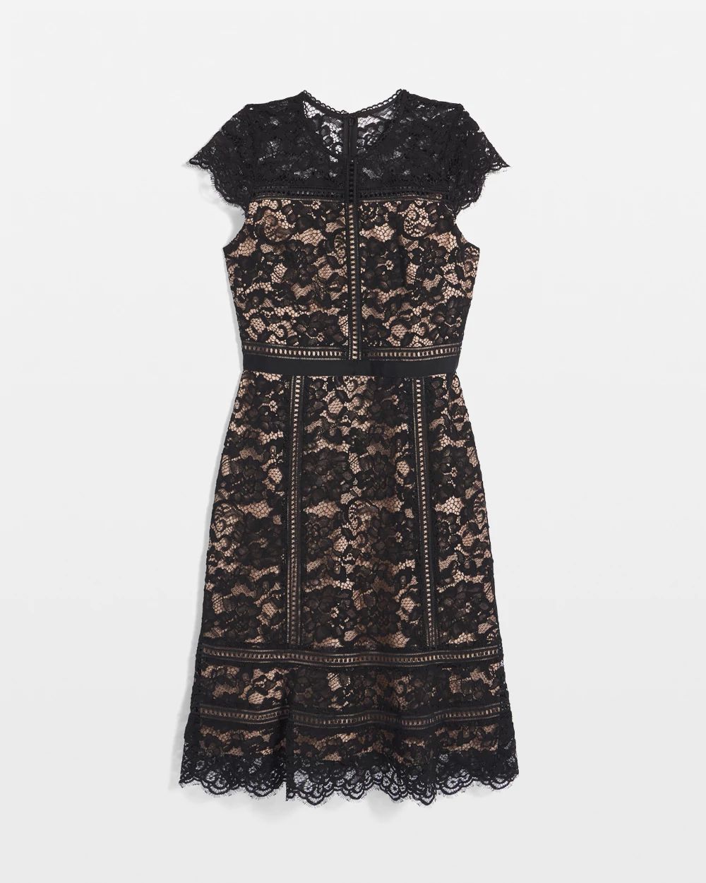 Short Sleeve Lace Fit-and-Flare Dress | White House Black Market Short Sleeve Lace Fit-and-Flare Dress | White House Black Market